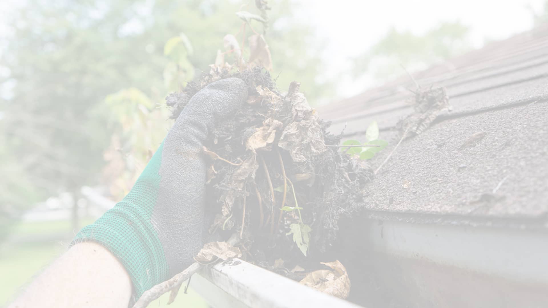 gutter cleaning